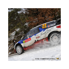 Decal Station DSC-0011-32 Calcas al agua Citroen DS3... 2