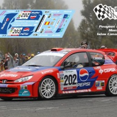 Decal Station DSC-xxxx-32 Calcas al agua Peugeot 206 WRC...