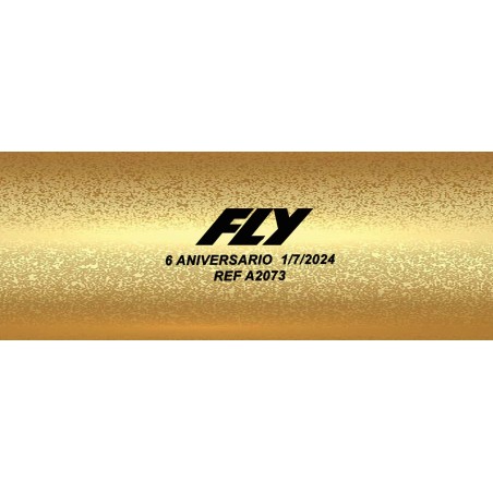 Fly A2073 Porsche 911 Jenson Button