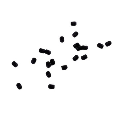 SRC RM1001 Prisionero allen M2.5x3 (20 ud)