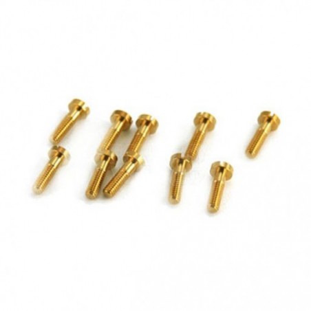 NSR 4839 TORNILLOS BASCULANTES 2,2 X 6,5 MM (10UD)