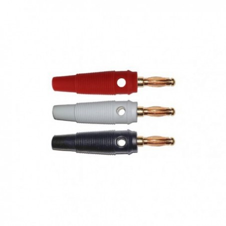 Professor Motor PMTR2027 Bananas