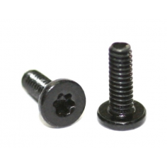 Sloting Plus SP158504 20 tornillos M2,5x4mm Cabeza extra plana Torx