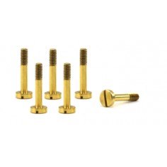 Scaleauto SC-513D Tornillería especial latón suspensión / Carrocería M2x13