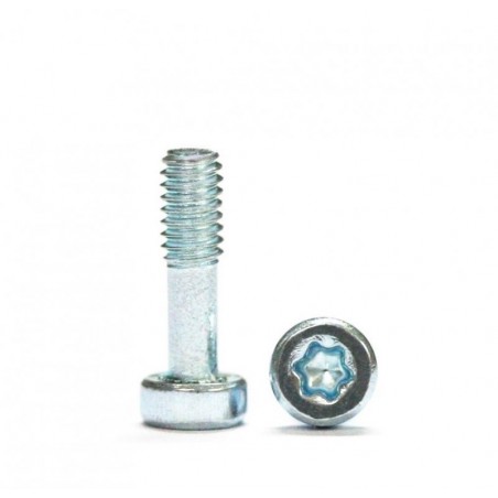 Sloting Plus SP159912 20 tornillos M2,1x7.5mm Torx T6 Carrocerías + destornillador