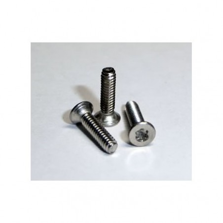 TECTIME TT141 TORNILLO TORX CÓNICO METRICA2x8 (10 UD)