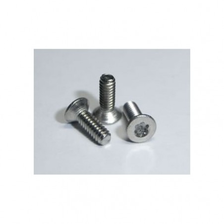 TORNILLO TT140 TORX CÓNICO METRICA2x6 (10 UD)